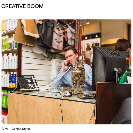 Creative Bloom Explores Shop Cats of New York: Discover the Fascinating Stories of Cats Living in NYC Shops