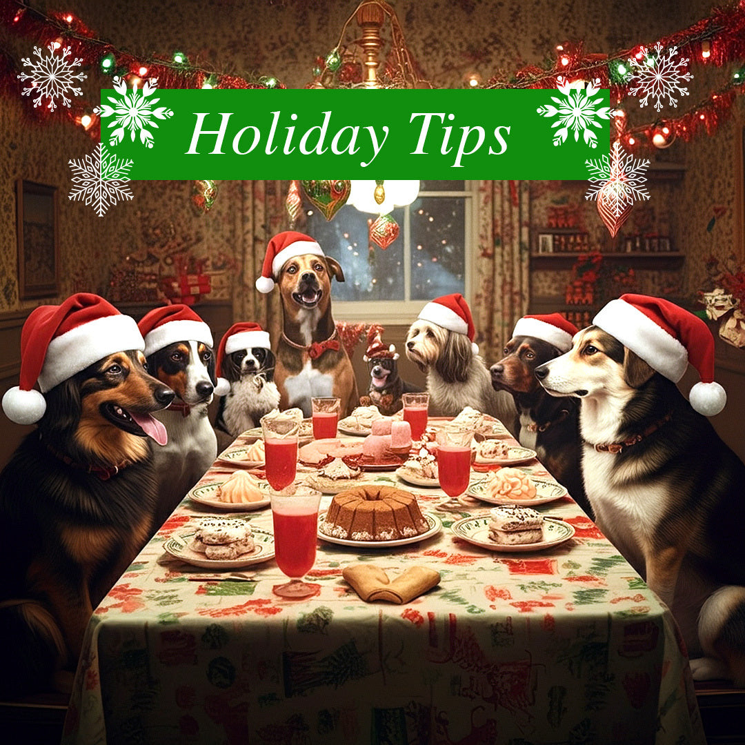 Holiday Tips From Canine Styles