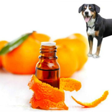 Essential oils for Dogs Written by Ron Haggerty Jr