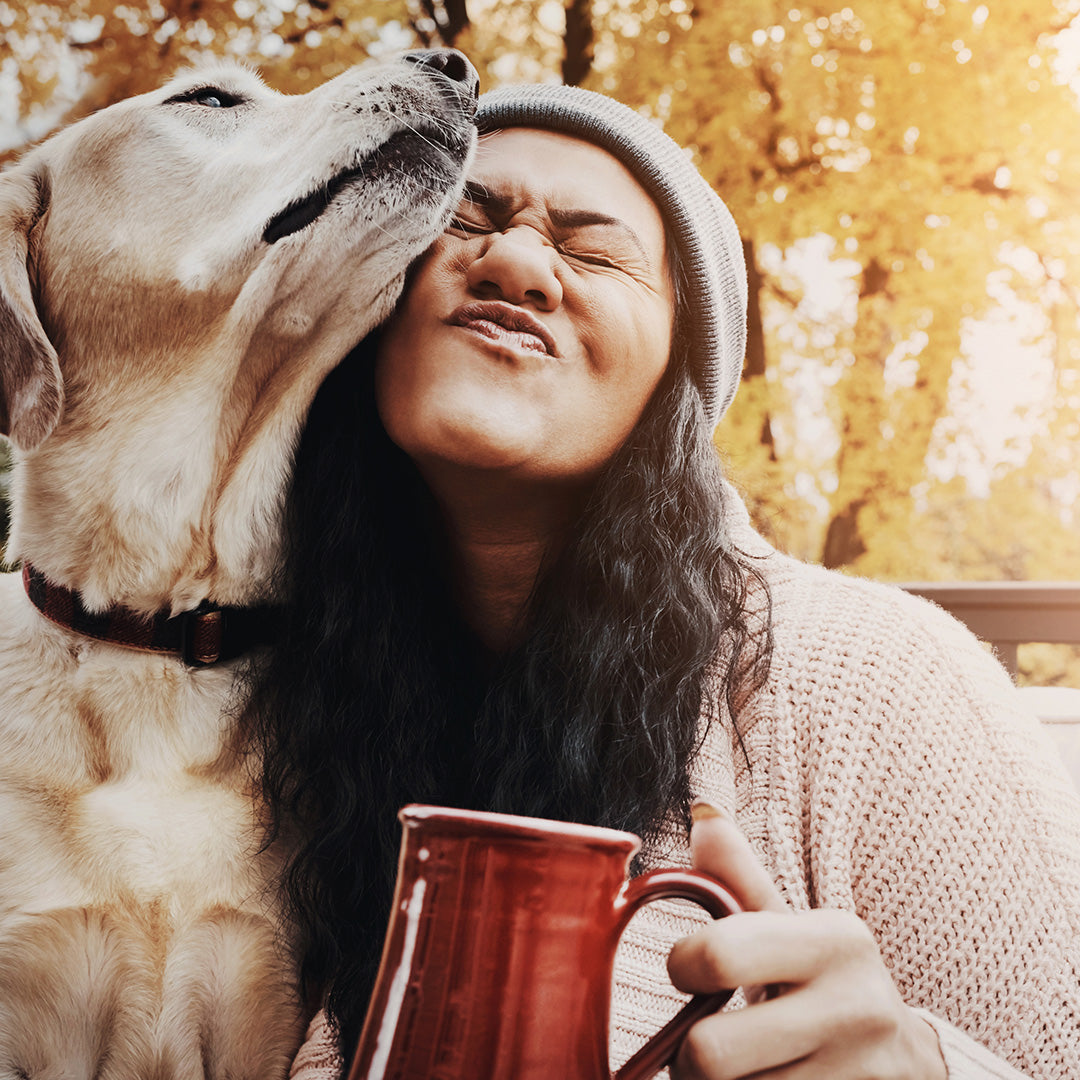 The Science Behind Dogs Detecting Human Emotions