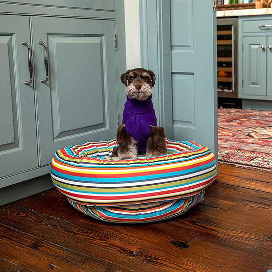 Dog Decor Essentials for a Stylish Spring