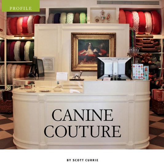 Quest Magazine: Canine Couture