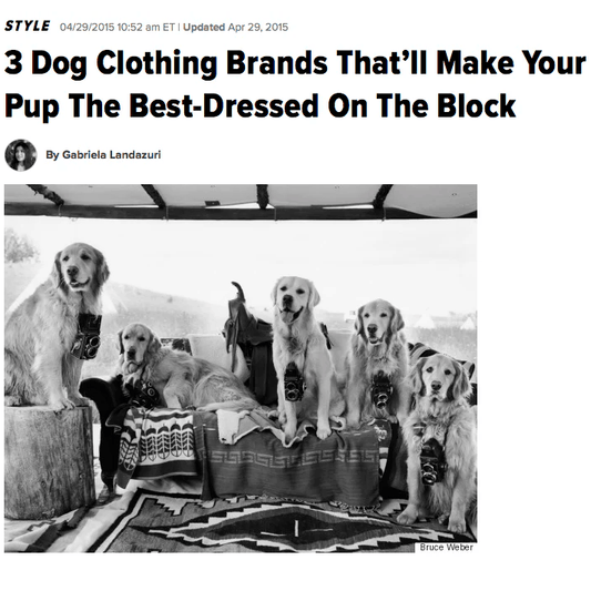 HuffPost Agrees Canine Styles Clothing Brand Will Make Your Pup The Best Dressed On The Block