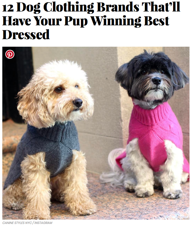 The 10 Best Dog Apparel Brands