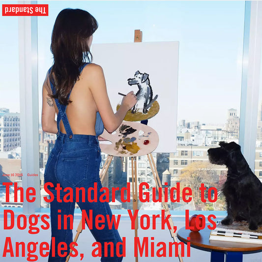 The Standard Hotels Guide to Dogs in NY, LA & Miami