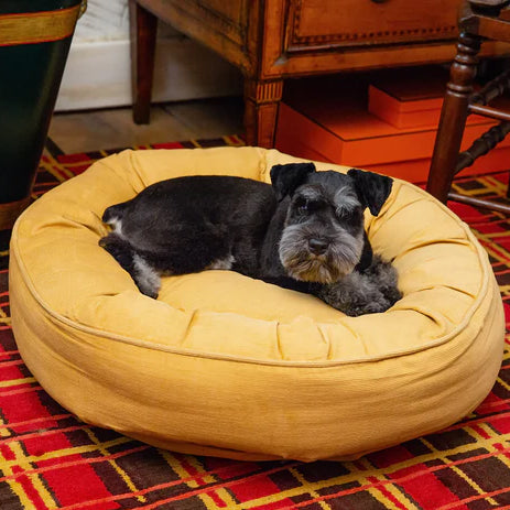 The Ultimate Guide to Dog Beds for Small Dogs