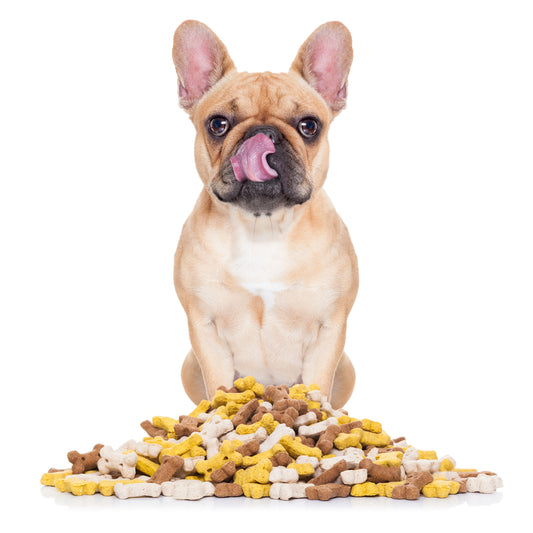 Dog Treats for Bad Breath: Freshening Up Your Furry Friend’s Breath