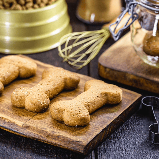 Dog Treats You Can Make at Home: A DIY Guide