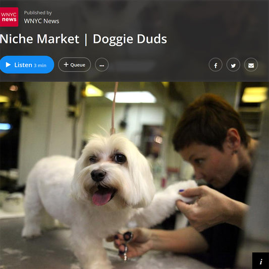 WNYC News Names Canine Styles as the Go-to Groomers for Dogs with Pizzazz!