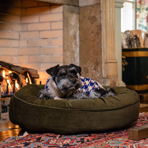 Create the Perfect Winter Sleep Environment for Your Dog