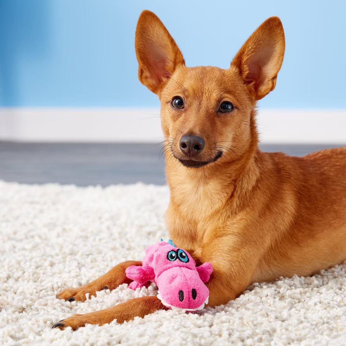 Mini - Pink and Blue Gators - Chew Guard Dog Toy
