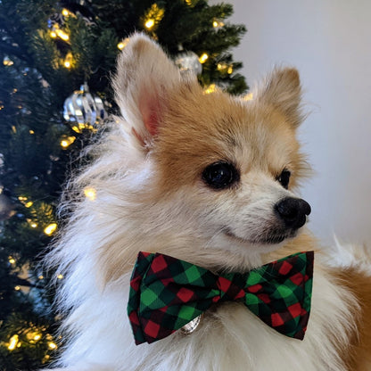 Christmas - Scottish Check  - Dog Bow tie