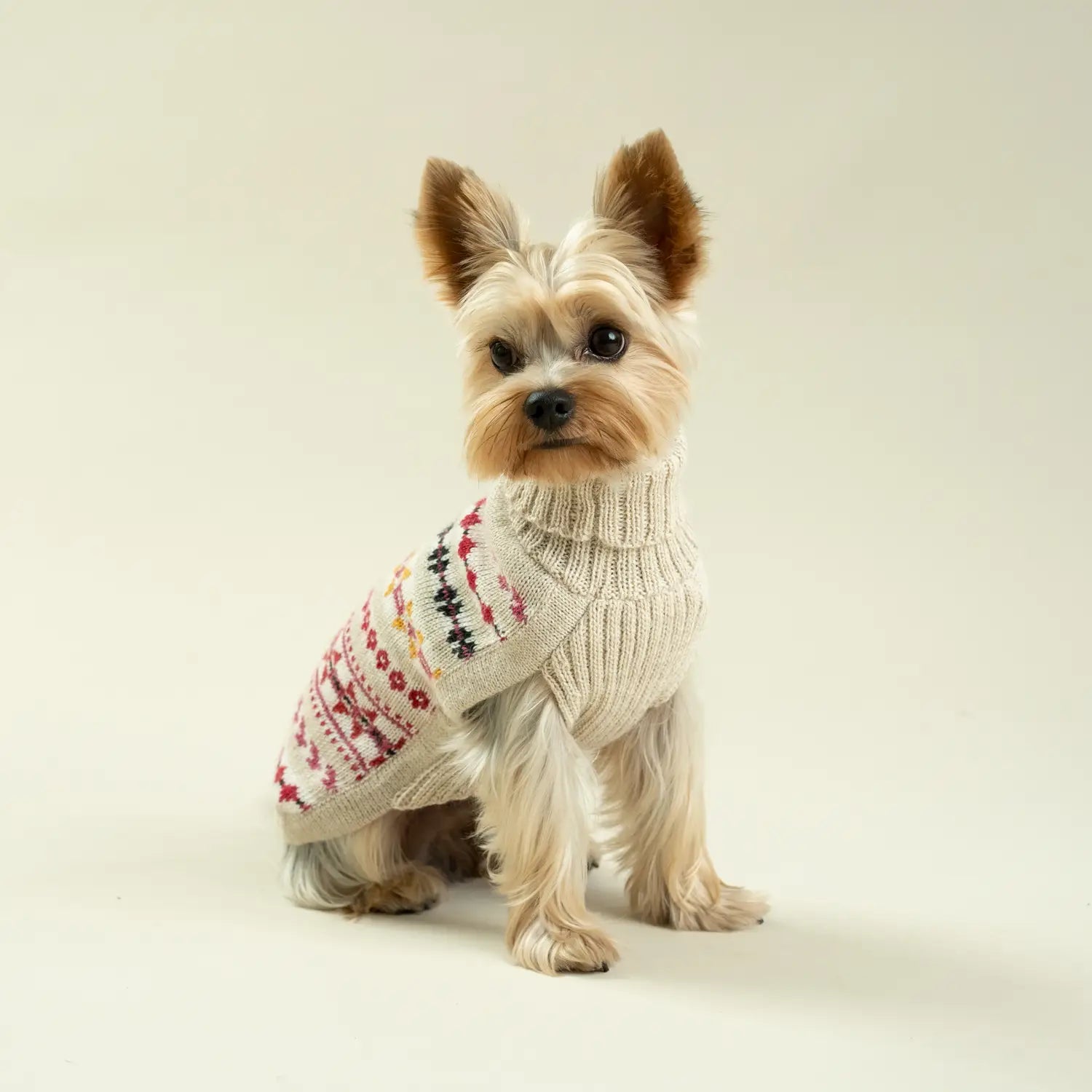 Alpaca dog clearance sweaters