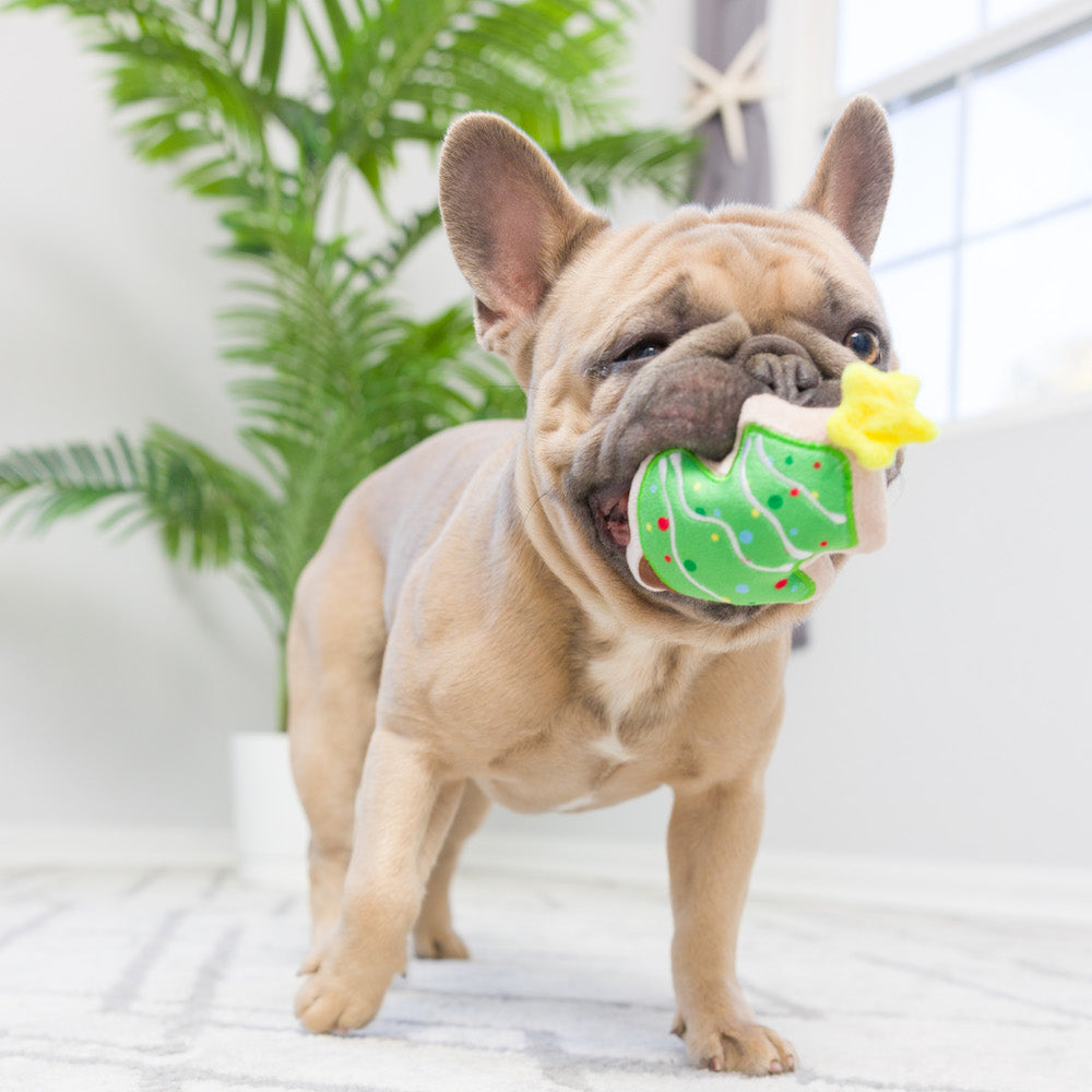 Christmas - Holiday Mini Dog Toys - Christmas Tree & Latte