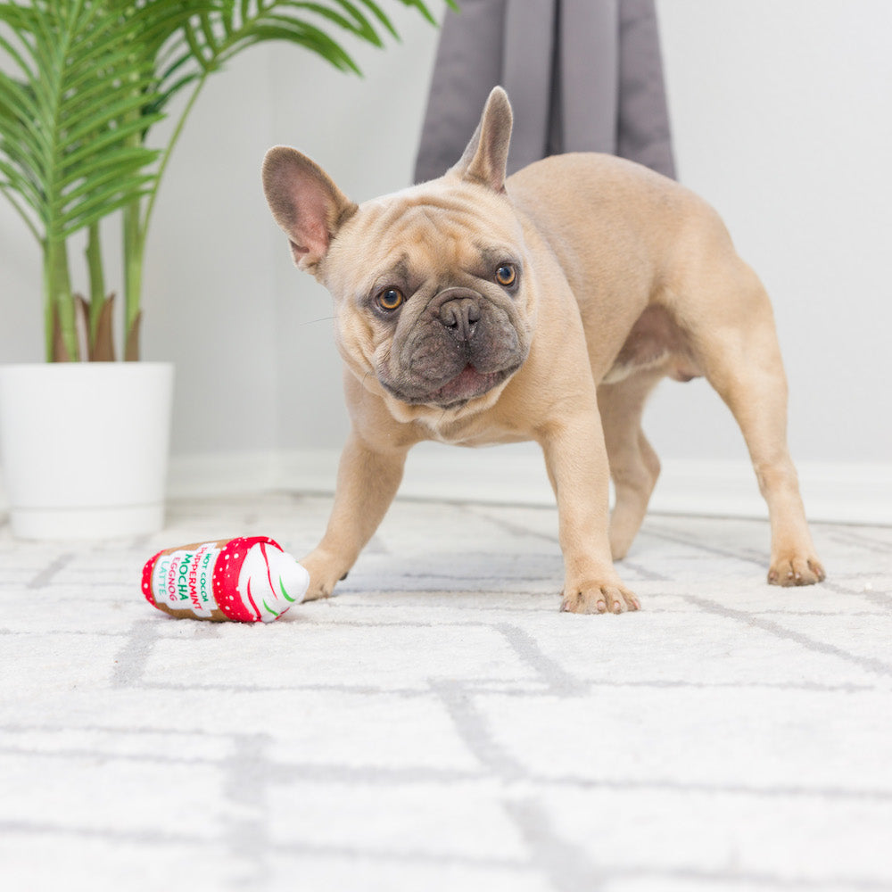 Christmas - Holiday Mini Dog Toys - Christmas Tree & Latte