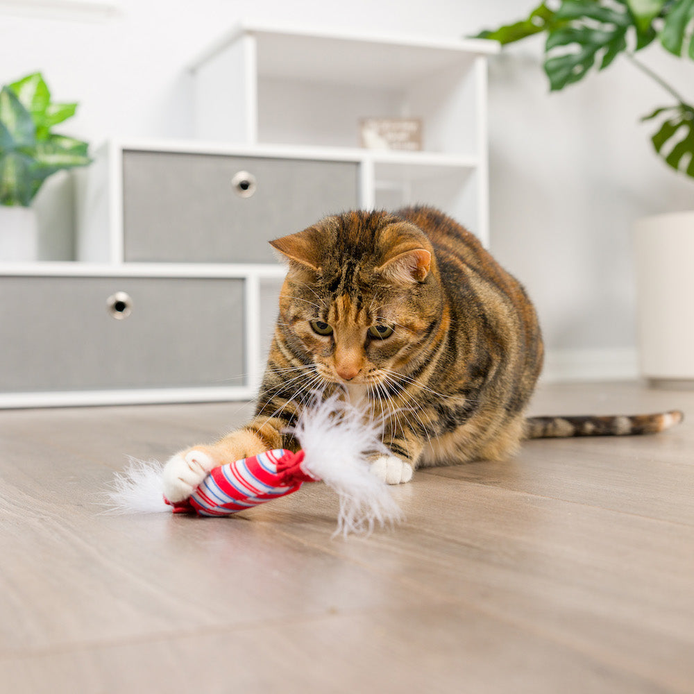 Cat Toy - Lit Donut & Peppermint Candy 2pk Plush