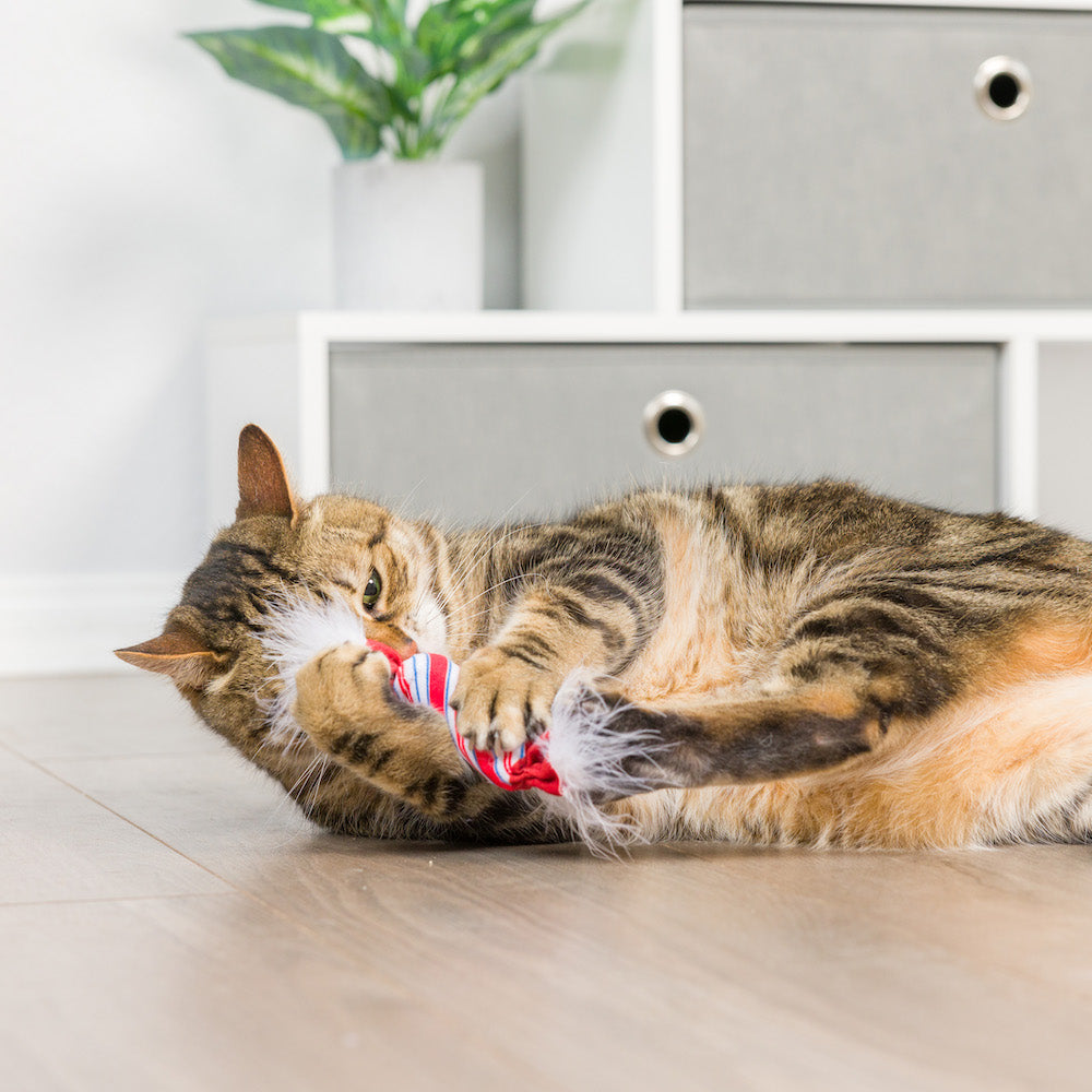 Cat Toy - Lit Donut & Peppermint Candy 2pk Plush