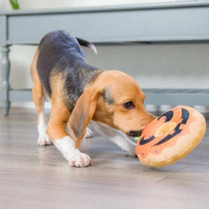 Pumpkin Donut For Dogs