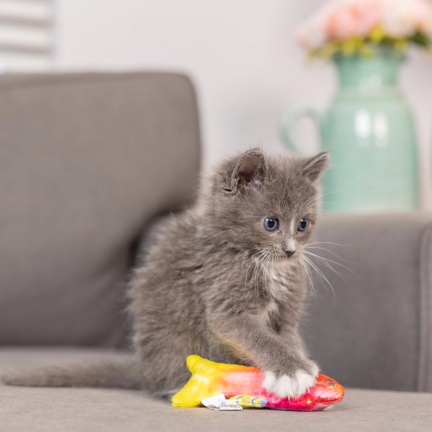 Cat Toy - Rainbow Guppy