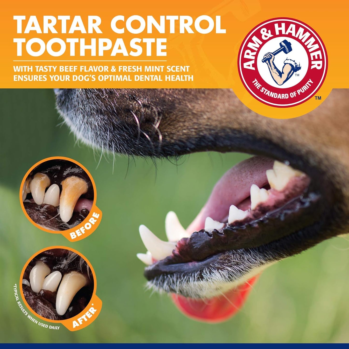 Dental Kit - Arm & Hammer Tartar Control for Dogs