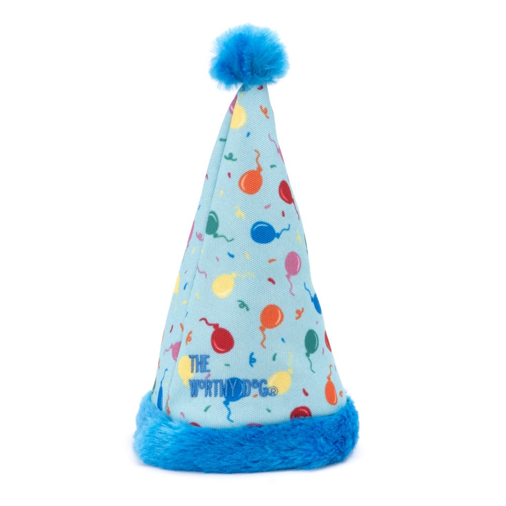 Birthday Party Hat - 2 Color Options