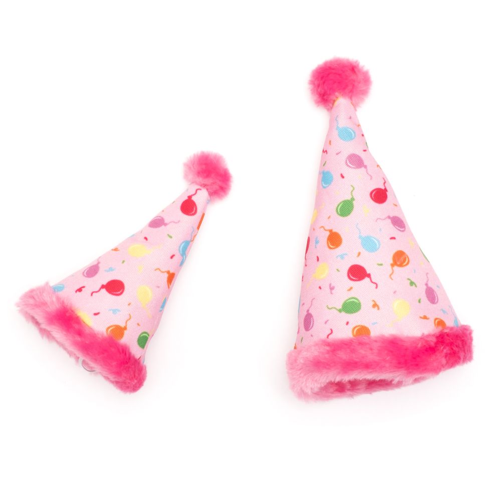 Birthday Party Hat - 2 Color Options