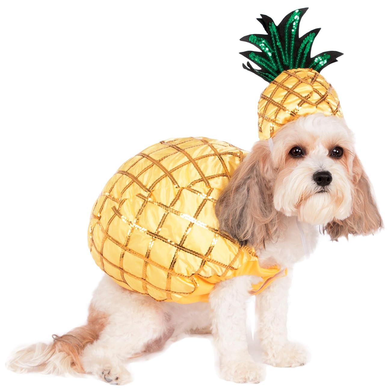 Dog Halloween Costumes | Pineapple