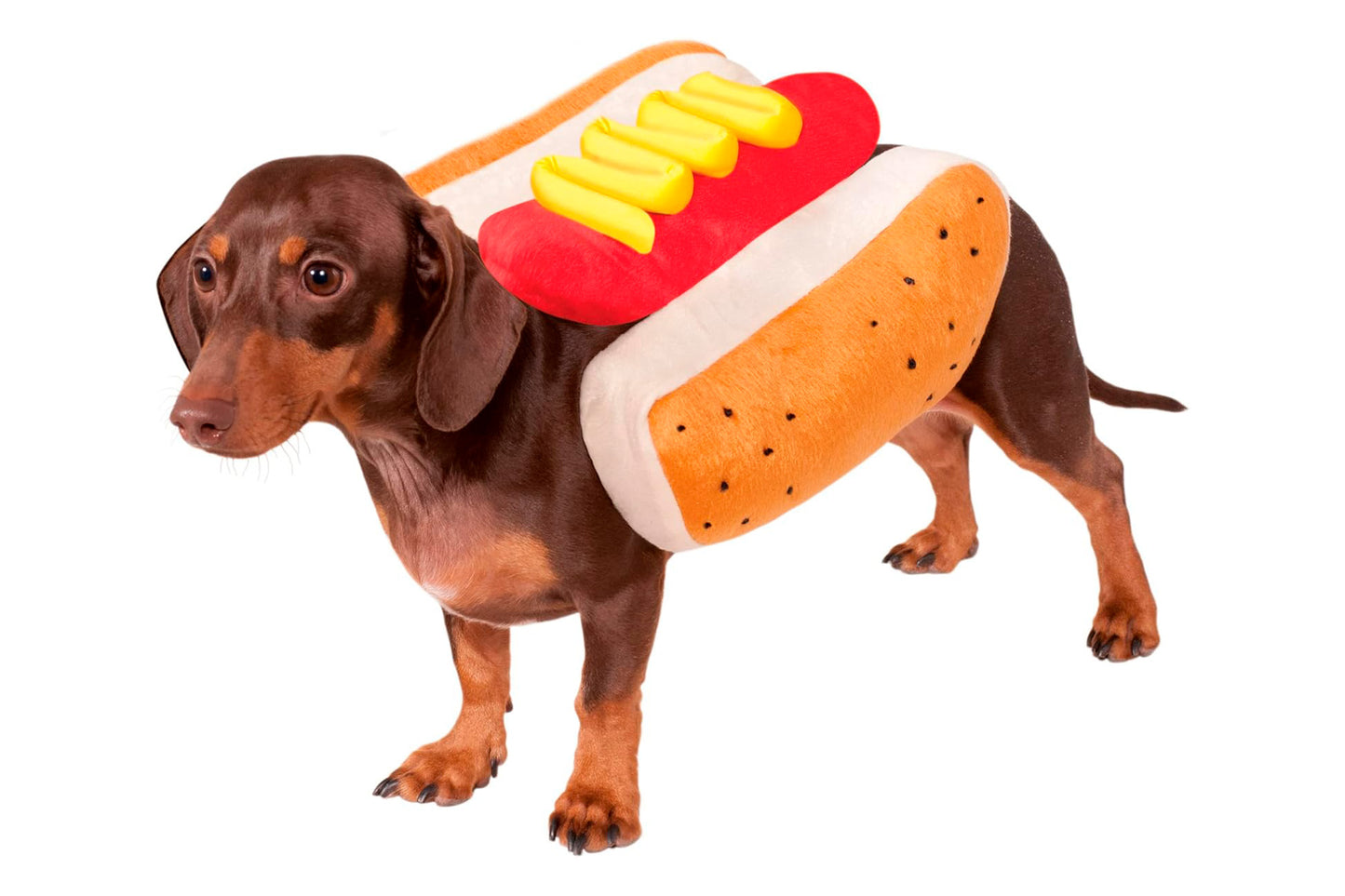 Dog Halloween Costumes | Hot Dog