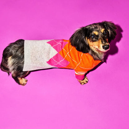 Dog Sweater - Argyle Dog Sweater - Orange/Pink