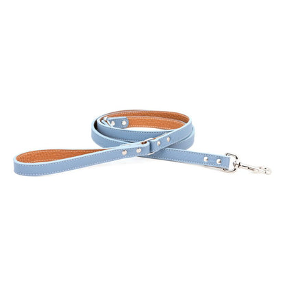 Auburn Dog Lead - Soft Leather - 11 Color Options - 4Ft, 5Ft & 6Ft