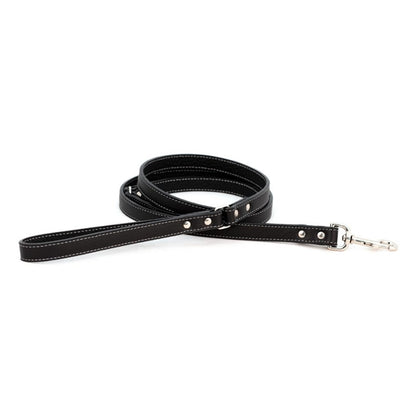 Auburn Dog Lead - Soft Leather - 11 Color Options - 4Ft, 5Ft & 6Ft