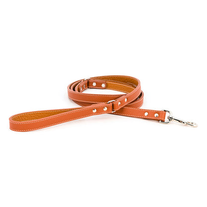 Auburn Dog Lead - Soft Leather - 11 Color Options - 4Ft, 5Ft & 6Ft