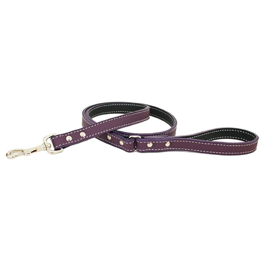 Auburn Dog Lead - Soft Leather - 11 Color Options - 4Ft, 5Ft & 6Ft