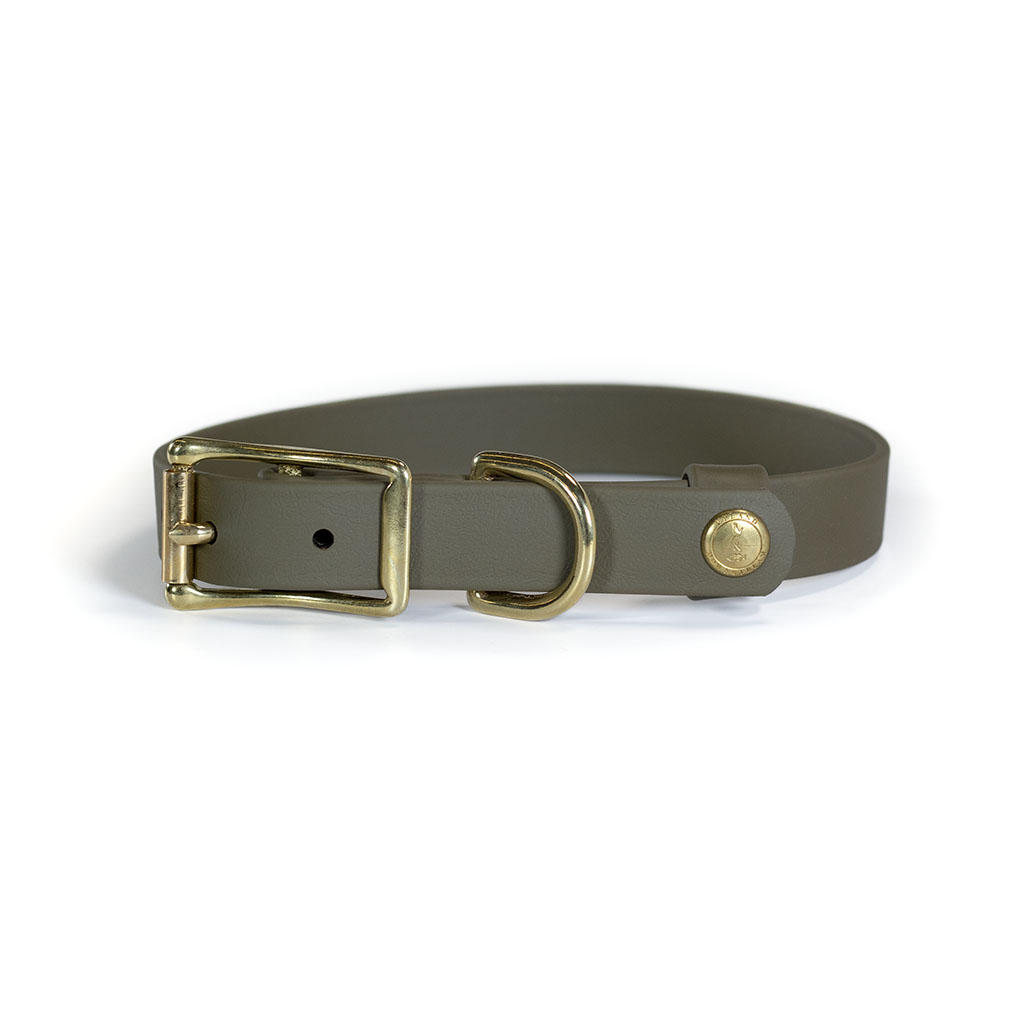 Biothane Waterproof Collar, Additional Stainless Name Plate Available