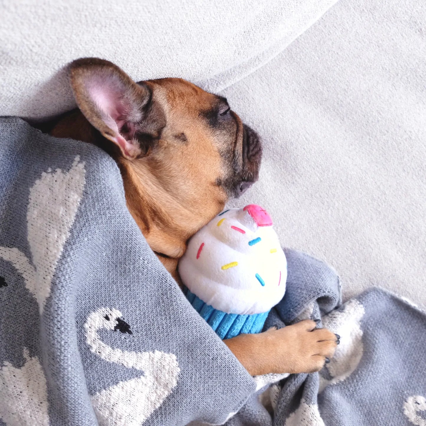 Pink & Blue Happy Birthday Cupcake - Dog Toy