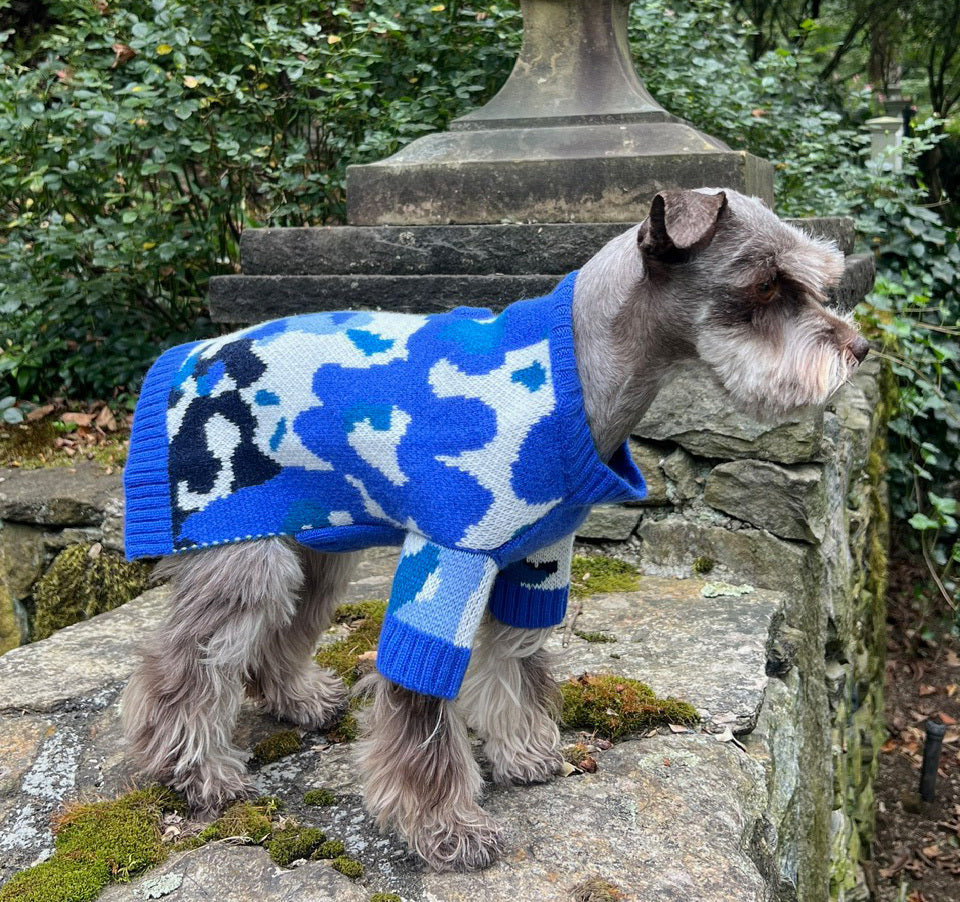 Cashmere Dog Sweater - Blue and Red Lauren Sweater