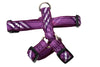 Signature Plaid Harness - 5 Color Options