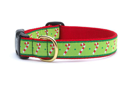 Christmas - Holiday Collar - Candy Cane Dog Collar