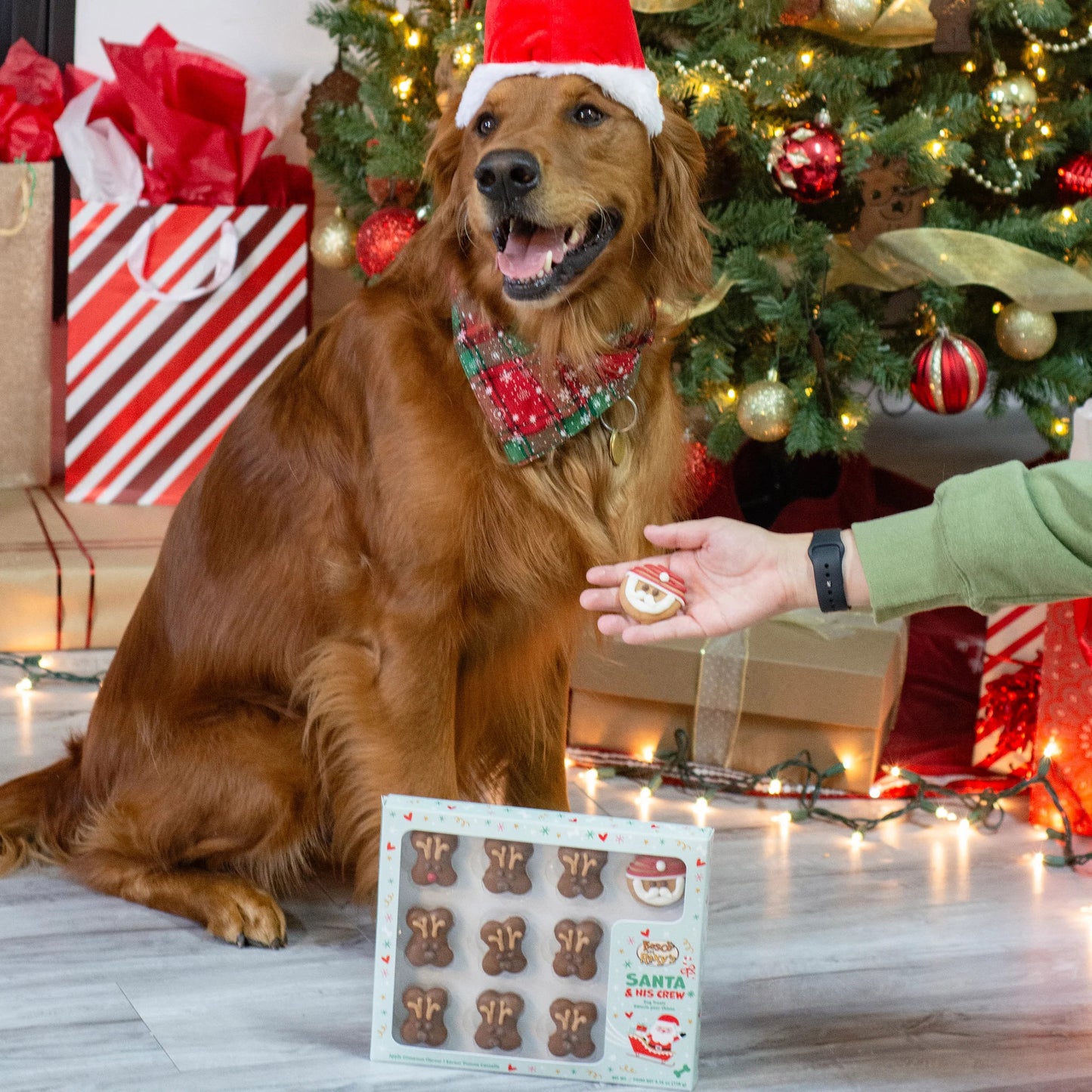 Christmas - Santa and Reindeer - Cookies