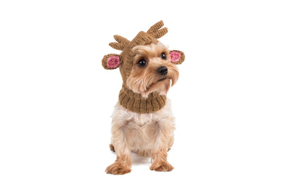 Christmas - Holiday Reindeer Alpaca Dog Hat