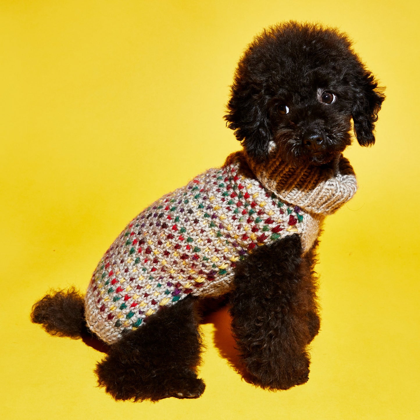 Contrast Stitch Turtleneck | Dog Sweater