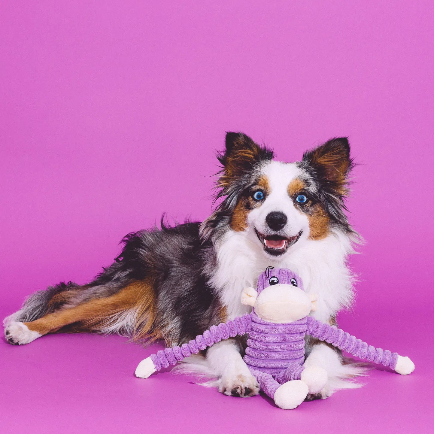 Mini - Pink or Purple Crinkle Monkey -  Dog Toy