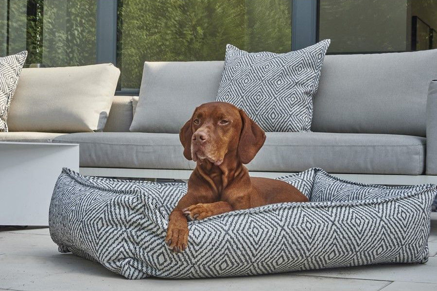 Lounger - Diamondback - Dog Bed