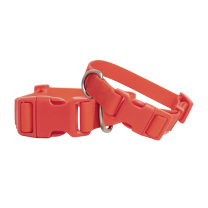 Poly Flex Dog Collar - 2 color option