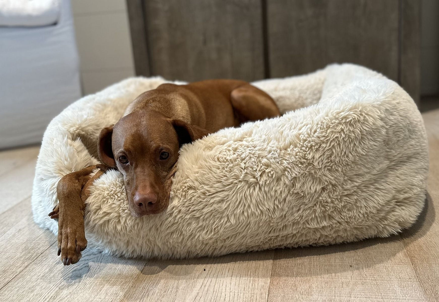 Lounger - The Franklin Fluffernutter - Dog Bed