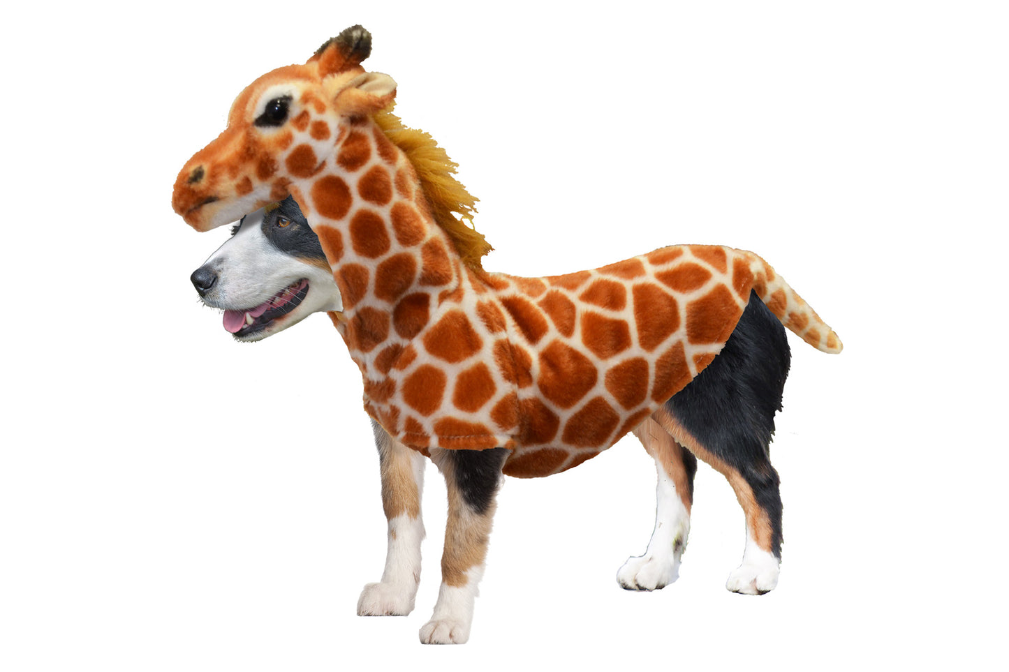 Dog Halloween Costumes | Giraffe