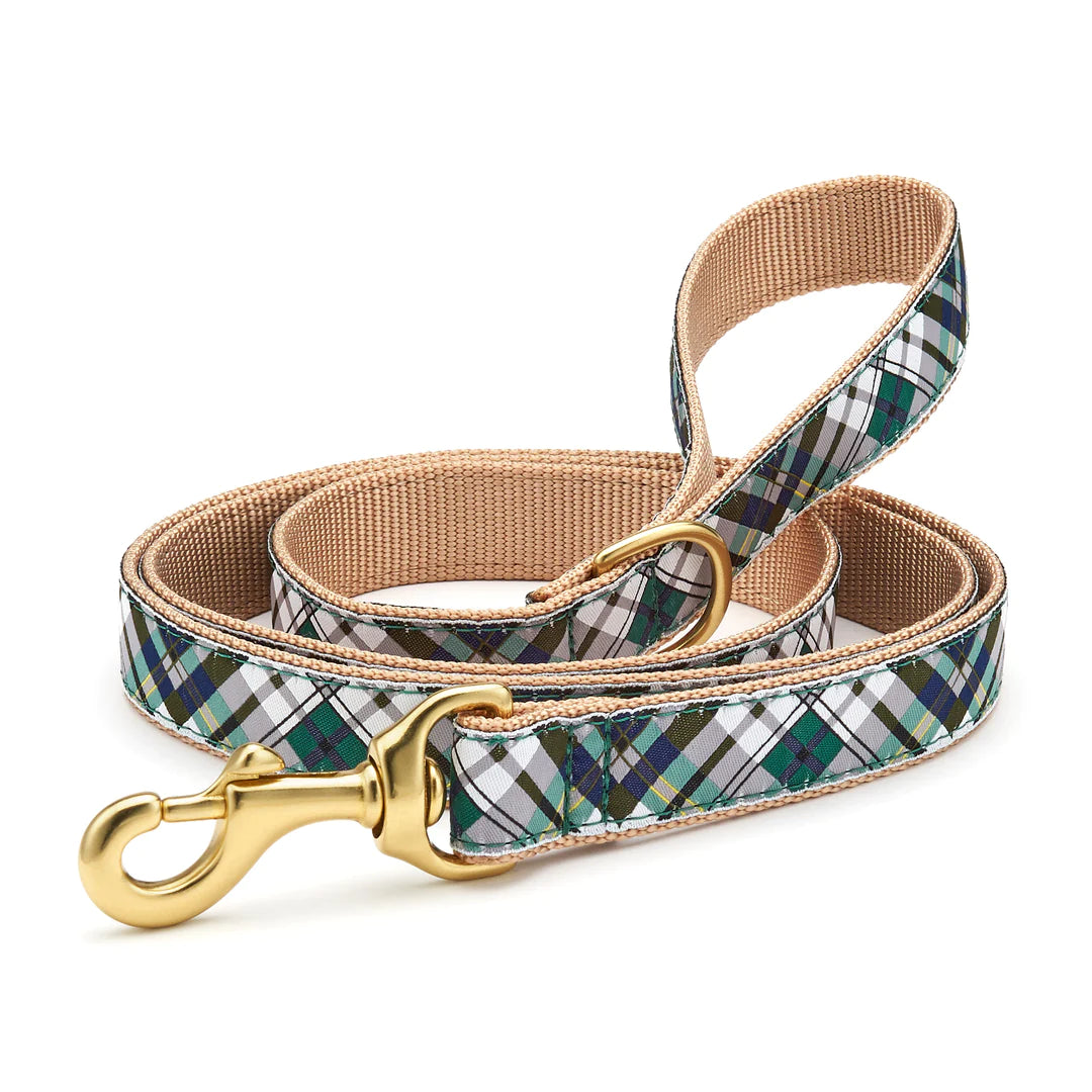 Gordon Plaid Dog Collection on Tan Webbing