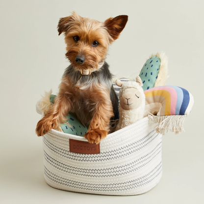 Bin - Market Stripe Rope Toy Bin