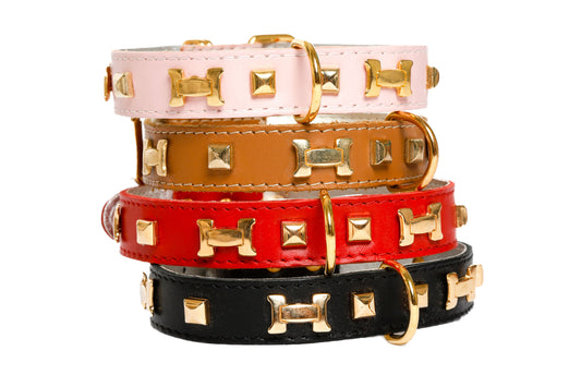 "H" Dog Collar - French Dog Collar, 10 Color Options