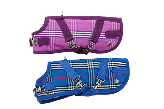 Horse Blanket - Signature Plaid Lavender or Signature Plaid Blue - 2 Color Options